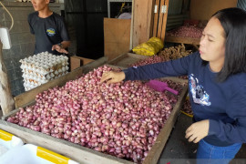 Fluktuasi harga bawang merah di Nunukan