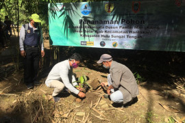 Pena Hijau-KPH tanam pohon pulihkan DAS Hulu Sungai
