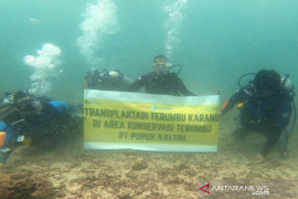 HKAN 2021, Pupuk Kaltim Dukung Kesinambungan Konservasi Alam _Reintroduksi Anggrek Hitam