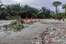 SAR Timika belum temukan korban terseret arus sungai di PT PAL