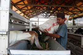 Adaro dorong kemandirian ekonomi pesantren