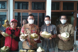 Distan TPH Kalbar gelorakan gerakan ayo makan buah lokal