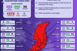 Pasien terkonfirmasi positif COVID-19 di Tabalong bertambah 116 orang