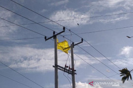 PLN Bali larang masyarakat main layangan dekat jaringan listrik