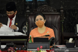 DPR RI: Pramuka adalah harapan bangsa