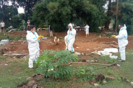 Pasien COVID-19 sembuh di Tapsel bertambah 20 orang, meninggal 5 orang