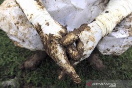 Kasus kematian akibat COVID-19 di Majalengka masih tinggi