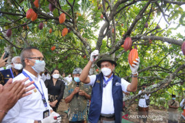 Kementan serahkan bantuan sarana produksi perkebunan di Bali