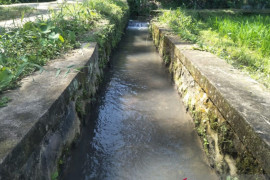 Program RJIT dari Kementan jamin pasokan air untuk produktivitas petani