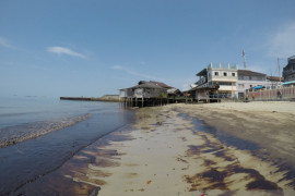 KOMPAK bawa kasus tumpahan minyak di Teluk Balikpapan ke kasasi