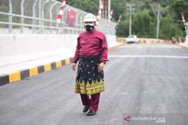 Bupati Kampar resmi buka Jembatan Bangkinang - Petapahan di Hari Kemerdekaan