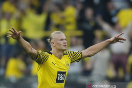 Pelatih Dortmund yakin Haaland akan bertahan bila raih trofi musim ini
