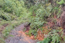 Longsor tebing setinggi lima meter nyaris memutus akses jalan desa di Tapsel