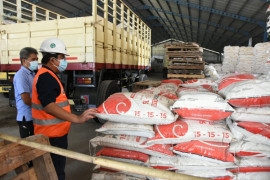 Petrokimia dorong peningkatan produktivitas bawang merah di Nganjuk