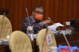 Anggota DPR menyatakan perlu segera benahi tata kelola komoditas cabai