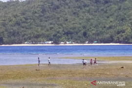 Camat Nusa Tabukan minta warga lestarikan Dugong