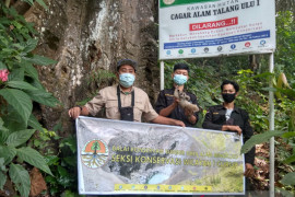 BKSDA: Periode Januari-Juli ratusan satwa dilindungi dilepasliarkan