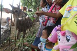 Wisata Penangkaran Rusa di Kediri
