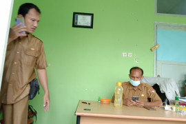 Harga tandan buah segar sawit di Mukomuko masih stabil