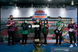 BRI beri mobil nasabah lewat Panen Hadiah Simpedes