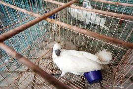 Agricultural quarantine ensures food sovereignty: minister