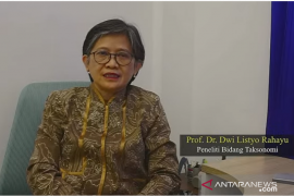 Jaga kelestarian keanekaragaman biota laut di Lombok