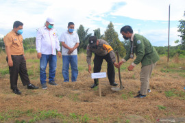 Mahasiswa Kukerta Balek Kampung UNRI serahkan 1000 bibit cabe ke Suku Sakai