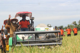 Pemkab Sergai terus dorong peningkatan produksi pertanian