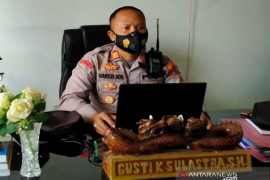 Polisi tangkap pemuda penganiya lansia satpam MUI Kendari