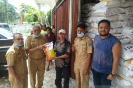 Kadis Tanaman Pangan Hortikultura dan Perkebunan Pesisir Selatan serahkan bantuan benih jagung hibrida