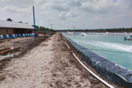 Hanya lima dari ratusan tambak udang di Bengkalis kantongi izin