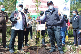 Pemkab Dairi  tanam pohon di Kawasan Hutan Lae Pondom