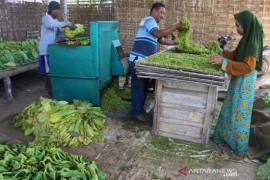 SPSI sebut kenaikan cukai bisa berdampak pada 65.000 pekerja rokok di Jawa Timur