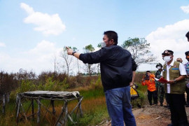 Sumsel bentuk tim bikin aturan hukum bagi pemilik lahan tidur yang terbakar