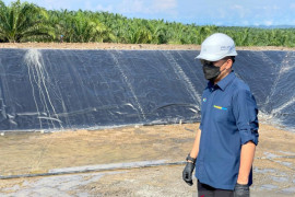 PTPN V targetkan empat Pembangkit Tenaga Biogas beroperasi tahun ini