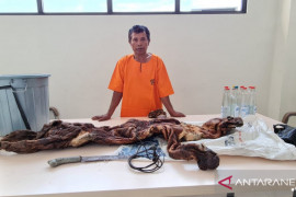 KLHK gagalkan penjualan kulit harimau dan janin rusa di Kuansing