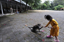 Dua desa wisata di Badung raih "Trisakti Tourism Award 2021"