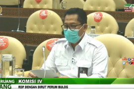 Buwas: Stok beras capai 1,16 juta ton, cukup penuhi stabilisasi harga
