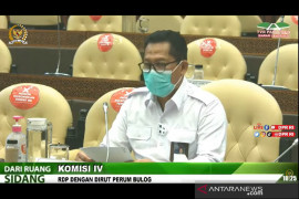 Buwas ungkap ada pihak sengaja viralkan bantuan beras PPKM yang rusak