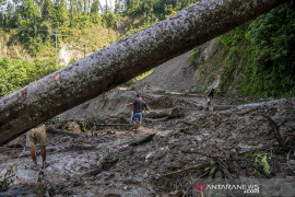 Longsor Timbun Jalan Trans Palu-Kulawi di Lima Titik Page 2 Small