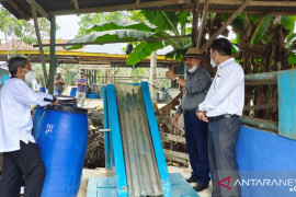 Pria ini olah urine sapi jadi bahan bakar bio gas