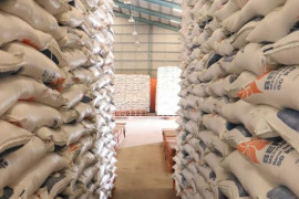Harga beras di Kota Bandarlampung stabil Rp9.000 per kilogram