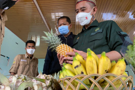 Petani milenial di Kalteng bagian masa depan ketahanan pangan Indonesia
