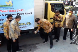 Peternak Klaten ekspor telur tetas ke Myanmar dan Vietnam