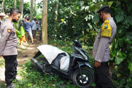 Perempuan tewas dalam karung di hutan sengon