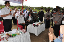 Menko Marves panen kentang di Humbahas