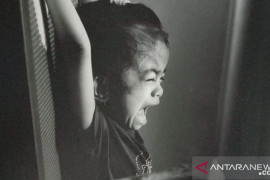 Dharma Wanita imbau optimalisasi selter tekan kasus kekerasan anak dan perempuan