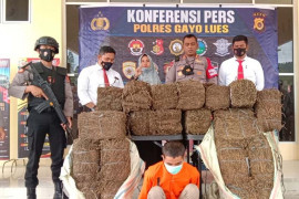 Polisi gagalkan peredaran 110 kilogram ganja di Gayo Lues
