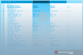 Kebocoran data pribadi gegara peladen aplikasi lama tak di-"takedown"