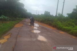 Kades Bukit Layang Bangka minta pemerintah segera aspal jalan desa